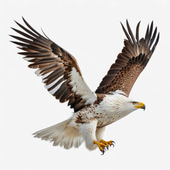 Fototapeta premium A 3D rendering of a bald eagle (Haliaeetus leucocephalus) perched on a tree branch, highlighting its distinctive white head and tail against a natural backdrop.
