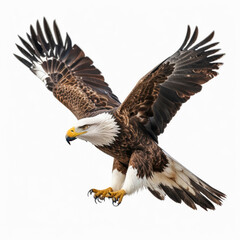 Obraz premium A 3D rendering of a bald eagle (Haliaeetus leucocephalus) perched on a tree branch, highlighting its distinctive white head and tail against a natural backdrop.