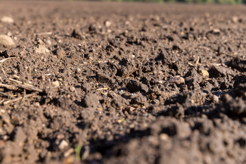 fertile soil in spring during the preparation for sowing