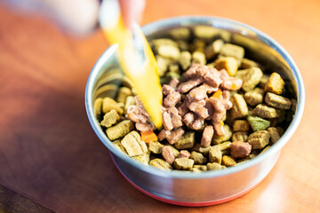 pouring wet dog food into dry dog food bowl