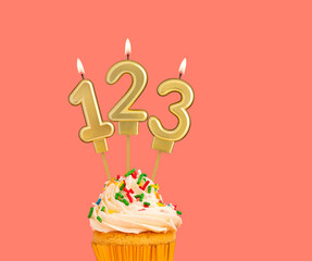 Birthday candle and cupcake - Number 123