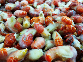 Iced lobster tails sold in supermarkets.