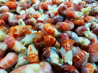 Iced lobster tails sold in supermarkets.