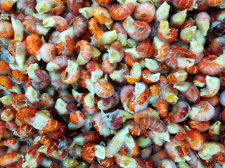 Iced lobster tails sold in supermarkets.