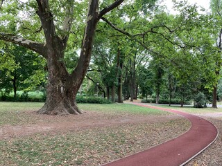 Obraz premium Running track in Archbishop's Garden (Hungarian: Érsekkert). A large park in Eger, Hungary that covers about 12 hectares. Single track leads slightly curved through the park underneath big, old trees.