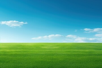 Fototapeta premium Perfect green lawn backgrounds outdoors horizon.