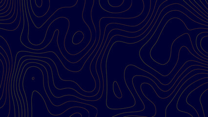 Background of the topographic map. Abstract geographic grid. Topographic map lines, contour background. © Aquarium