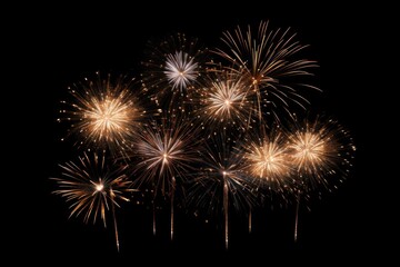 Fireworks celebration night pyrotechnics.