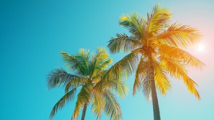 Obraz premium Lush Palm Trees Under Bright Blue Sky