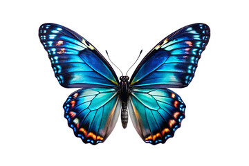 Fototapeta premium Blue sitting butterfly on white background.AI GENERATED