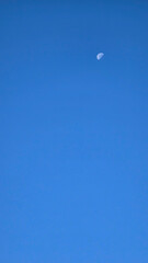 Blue sky and moon in the center, warm autumn day.