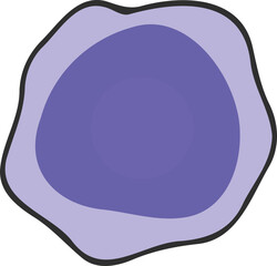 Lymphocyte