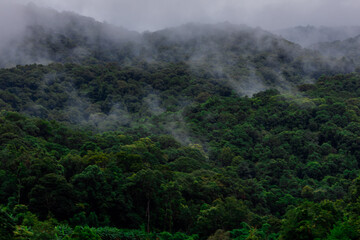 The natural background of the mountain atmosphere, green rice fields and many kinds of plants surrounding, rainbow and a walkway to see the completeness of the ecosystem.