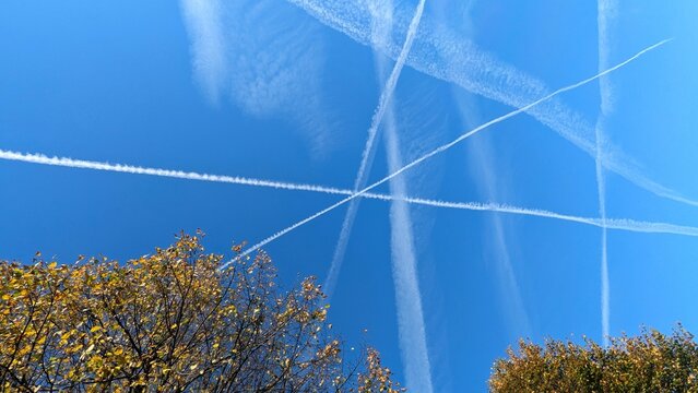 Blue sky with many crisscrossing airplane trails