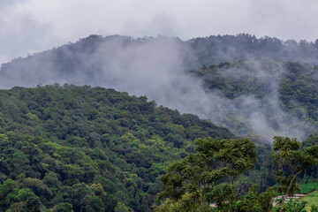 The natural background of the mountain atmosphere, green rice fields and many kinds of plants surrounding, rainbow and a walkway to see the completeness of the ecosystem.