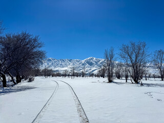 Footprints on a snowy plain in the mountains of Kyrgyzstan. Clear skies and snow-covered peaks create an atmosphere of calm and vast open spaces.