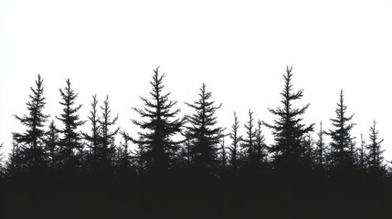 Vector illustration of a pine forest landscape.
