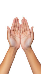 Obraz premium Pair of cupped hands raised together on transparent background