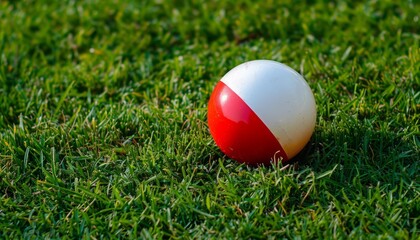 Contrast on the Lawn: The Red and White Plastic Ball - AR 7:4
