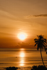 Golden Sunset Over Calm Sea with Palm Trees Silhouetted in Tropical Paradise