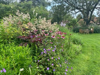 A serene garden with blooming echinace, knotweed and vibrant geraniums. A green lawn frames this picturesque setting. Gardens &lsquo;Jardin du Rossignol&rsquo;, France