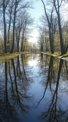 A serene landscape featuring trees reflecting in calm water under a bright sky.