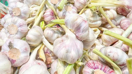 A bunch of garlic bulbs are piled on top of each other. The bulbs are all different sizes and are all in various stages of decay