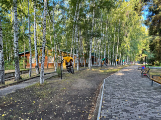 A birch grove with neat pathways and wooden cabins for relaxation in Kyrgyzstan. A perfect place...