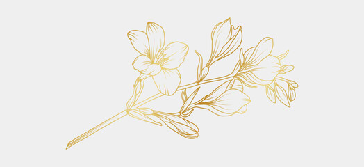 Golden freesia flowers line art isolated on white background. Luxury magnolia floral design elements for invitation, wedding, wallpaper, print template, vector illustration © abcvector