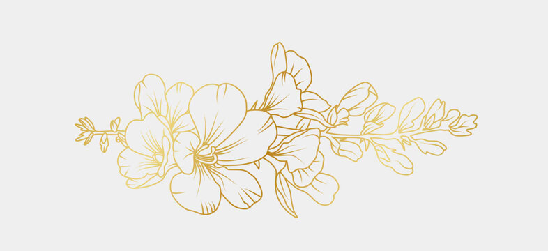 Golden freesia flowers line art isolated on white background. Luxury magnolia floral design elements for invitation, wedding, wallpaper, print template, vector illustration