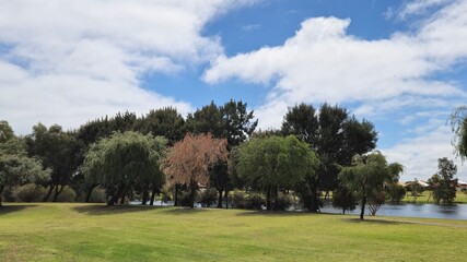 Green park in sprink time 