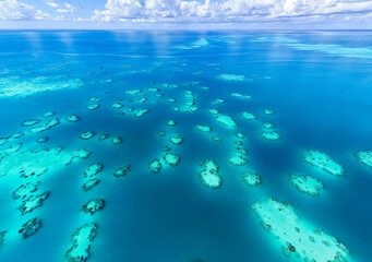 Aerial view of the sea with coral reef