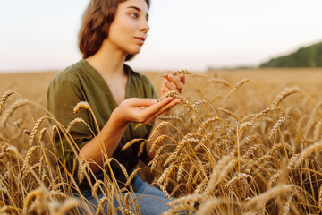Wheat quality check. Woman Farmer with ears of wheat in a wheat field. Rich harvest.