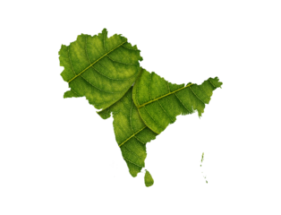 Subcontinent map made of green leaves on white background ecology concept
