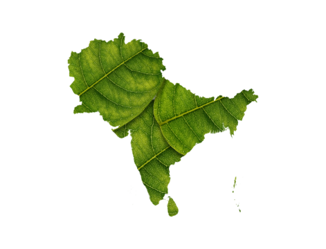 Subcontinent map made of green leaves on white background ecology concept
