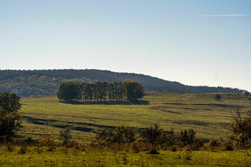 Obraz premium Scenic rural landscape with a lone cow grazing on a green hillside under a clear blue sky