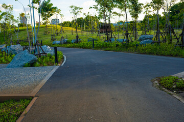 Pathway road in city green tree park tropical forest