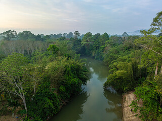 Fototapeta premium Aerial view tropical green tree foresr river ecology system