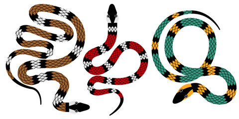 a snake in different colors and poses isolated on a white background. A unique artistic brush draws a snake. stock vector illustration. EPS 10