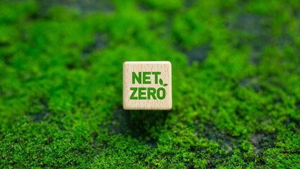 Net Zero and Carbon Neutrality Concept with Icon Net Zero on Wooden Block Greenhouse Gas Emission Target Long Term Greenhouse Gas Neutrality Strategy on Green Forest Background