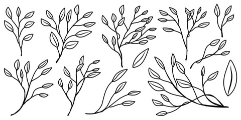 Hand drawn line art of plant in different variations for gardening element, coloring, template or pattern isolated.
