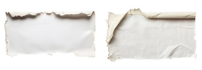 A piece of white paper with torn edges isolated on the background