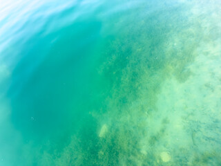 Clear water with visible underwater vegetation in Issyk-Kul lake. The purity and natural beauty of Kyrgyzstan's nature