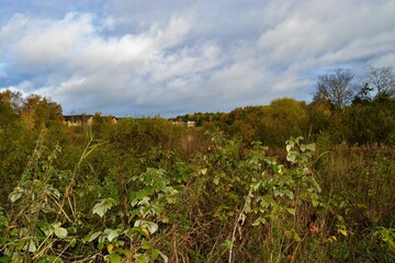Scenic autumn landscape with buildings