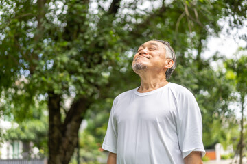 Elderly man enjoying fresh air in serene park setting, relaxation outdoors, senior citizen...