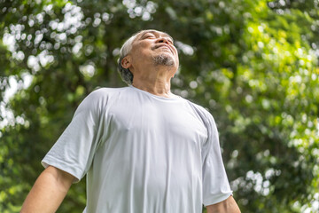 Elderly man enjoying fresh air in serene park setting, relaxation outdoors, senior citizen...