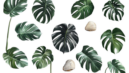 Tropical Leaves and Seashells on Black Background