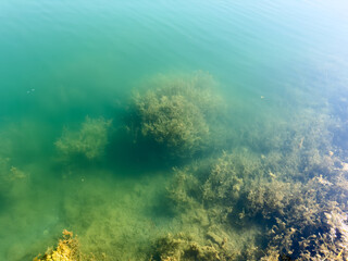 Clear water with visible underwater vegetation in Issyk-Kul lake. The purity and natural beauty of Kyrgyzstan's nature
