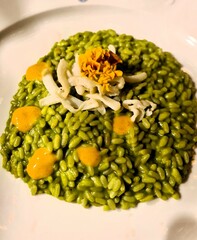 evocative image of a plate of green rice with pumpkin cream ready to be enjoyed
