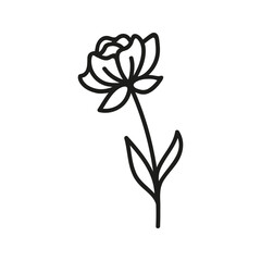 Simple tulip flower. Hand drawn doodle illustration.